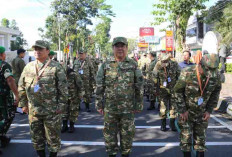 Wagub Sumsel Cik Ujang Sudah Bergabung Bersama Gubernur Herman Deru