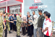 Operasional 1.061 KDKMP Dimulai, Pemerintah Dorong Ekonomi Kerakyatan dari Desa