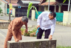 Jalan Tanggamus Muara Dua Dipasang Pisang Gadis