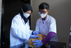 Karantina Sumsel Gelar Vaksinasi dan Sosialisasi Rabies Gratis, Dukung Palembang Bebas Rabies 2025