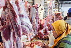 Asosiasi Daging Kritik Kebijakan Kuota Impor 2026 yang Dinilai Tidak Realistis