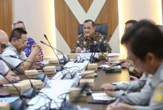 Sinkronisasi Data Cetak Sawah Sumsel