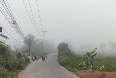 Kabut Asap Tebal di Pagi Hari
