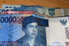 Triwulan II/2024, peredaran uang kartal di Sumsel Rp1,82 triliun