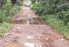 Akses Jalan Belakang Punti Kayu Rusak