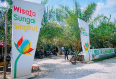PLN UIP Sumbagsel Dorong Ekonomi Desa Payo Lebar Lewat  Pengembangan Wisata Kali Singkut