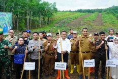 Pemkot Prabumulih Tanam Padi Gogo di Lahan Sawit