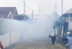 Jelang Musim Hujan Pemkot Palembang Ingatkan Warga Ancaman DB