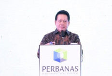 Kredit Tumbuh 9,98 Persen, Perbanas Optimis Perbankan Tetap Kuat