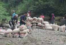Pemdes Sendawar Dukung Petani Lokal