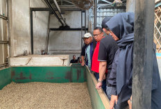 Wujudkan  Kopi Sumsel  Standar Ekspor,  Karantina Palembang dan Instansi Strategis  Tinjau Pabrik Kopi 