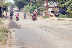 Jalan Menuju Gandus Kembali Mengalami Penurunan Kualitas Jalan