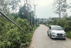 Bahaya Kabel Internet Menjuntai di Tanah