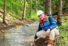 PTBA Kembangkan Lahan Basah  Buatan Untuk Pemulihan Lingkungan