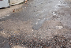 Tak Cukup Hanya Tambal Sulam, Warga Menumbing  Berharap  Pemkot Palembang Mengaspal Jalan