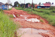 Jadi Jalan Alternatif, Disayangkan Warga Jalan Masih Berbentuk Tanah