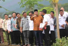 Pemkab Lahat Fokus Kembangkan Budidaya Perikanan
