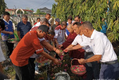 Sambut Waisak 2025, Walubi Sumsel Karya Bhakti ke Makam Pahlawan