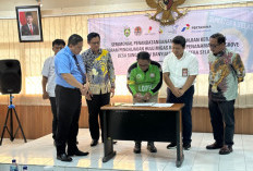 SKK Migas Bersama Medco E&P dan PHE Jambi Merang Tanam Mangrove di Sungsang