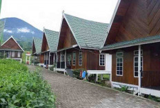 Nataru, Villa, dan Hotel di Pagaralam Full Booking