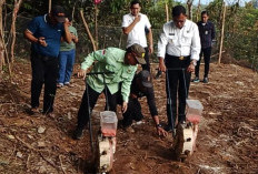 Dukung Program Ketahanan Pangan, Wako Arlan Ajak Tanam Jagung