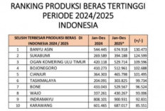 Banyuasin Raih Predikat Daerah Produksi Beras Tertinggi di Indonesia Tahun 2025