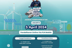 PLN Gelar Mudik Bersama BUMN 2024, Begini Cara Daftar dan Tahapannya