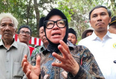 DPP PDIP konfirmasi akan usung Risma di Pilkada Jatim 2024