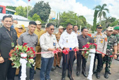 Tugu Nanas jadi Simbol Sinergi Energi dan Identitas