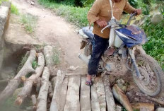 Dua Jembatan Desa di OKU Timur Rusak Parah