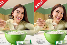 Hoki Beras Sehat 