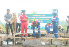 Pemprov Sumsel Bersinergi Dengan Kilang Pertamina Plaju  Bangun Taman Rawa di Kawasan Jakabaring, Tanam 55 Spe