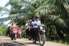 Optimis Sumsel ke Peringkat Tiga  Penghasil Pangan Nasional   