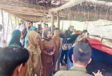 Dorong Inovasi Budidaya Lele Gratis di Lubuk Atung