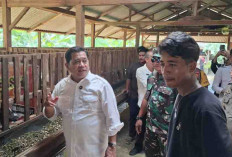 Askolani: Jangan Sibuk Cari Kerja, Ciptakan Lapangan Kerja