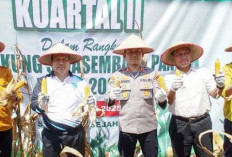 Lahat Potensi jadi Penyedia Sumber Bahan Pangan