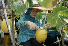Dorong Ketahanan Pangan dan Ekonomi Masyarakat