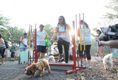 PET KINGDOM Kembali Gelar PAWJOG 8 di Dua Lokasi