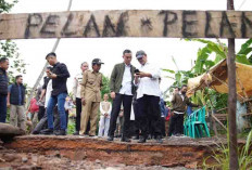 Sat Set, Muchendi Cek Langsung Jembatan Rusak di Desa Kandis