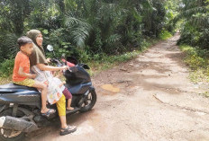 Kondisi Aspal Jalan Mahoni Terkikis hingga Rata Menjadi Tanah