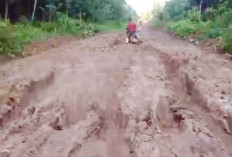 Jalan Antar Desa Mirip Kubangan Kerbau