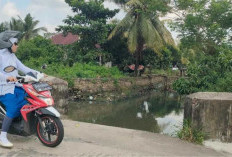 Jembatan Tidak Ada Besi Penahannya