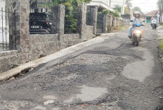 Akses jalan Tembus Mesuji - Komering Banyak Lubang