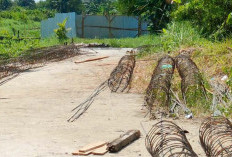 Akhirnya Tamat Sudah Riwayat Jembatan Kayu di Jalan Buyut Tampa