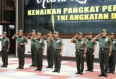  19 Perwira Kolonel TNI Resmi Pecah Bintang dalam Mutasi Terbaru 15 Agustus 2025