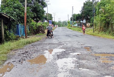 Jalan Rusak Sepanjang 20 Kilometer di 4 Kecamatan Jarai Area