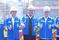 Dorong Produktivitas Pertanian, Sumsel Jadi Lumbung Pangan Nasional