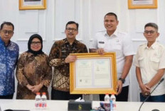 HUT ke - 24, Kota Prabumulih Raih Predikat Kota Nanas dari Dirjen