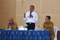 Wako Arlan Tegaskan Semua Kegiatan Keramaian Wajib Kantongi Izin