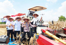 OKU Timur Wujudkan Swasembada Pangan Nasional